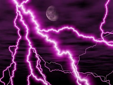 Gdragon Sunny Cat Photo Purple Thunder Purple Lightning Purple
