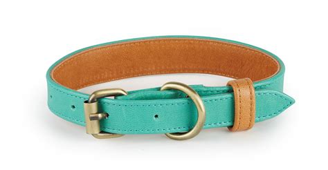 Coastal Collection Handcrafted Genuine Leather Dog Collars — The