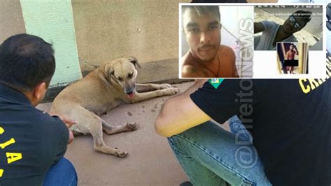 Ameaçado de morte justiça solta estudante que filmou estupro de cadela em Cuiabá amo Direito