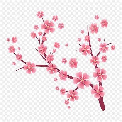 Sakura Cherry Blossom Vector Design Images Cherry Blossoms Pink Sakura
