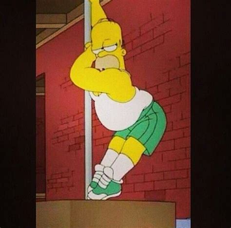 What I Really Look Like On The Pole Lol Homer Meme Homer Simpson