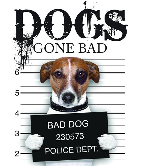Bad Dogs Ubicaciondepersonascdmxgobmx