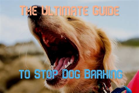 How To Stop Dog Barking Complete Guide 🥇 Solutions For Barking