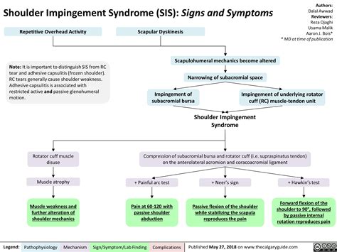 Shoulder Impingement Syndrome Sis Signs And Symptoms Calgary Guide