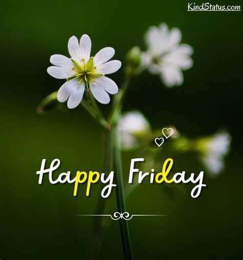 150 Happy Friday Images Happy Friday Good Morning Images