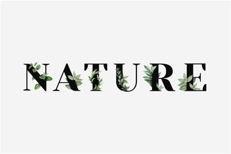 Nature Font Vectors And Illustrations For Free Download Freepik