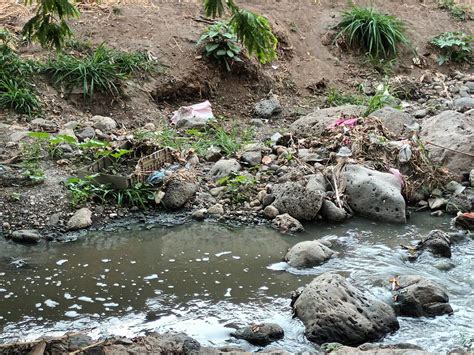 Previenen Inundaciones Con Limpieza De Barrancas En Jiutepec L Nea