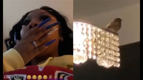 Moneybagg yo weight 180.7 lbs / 82 kg. Moneybagg Yo Girlfriend Ari Scared Of A Bird That Flew In ...