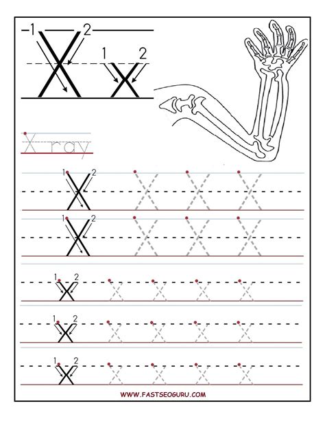 Activities With The Letter X In 2023 Worksheets Decoomo