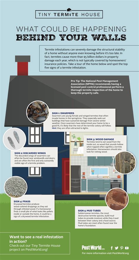 In this situation, should your landlord be the one to cover the cost? What Could Be Happening Behind Your Walls