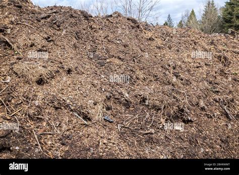 Pile Of Twigs And Branches Hi Res Stock Photography And Images Alamy