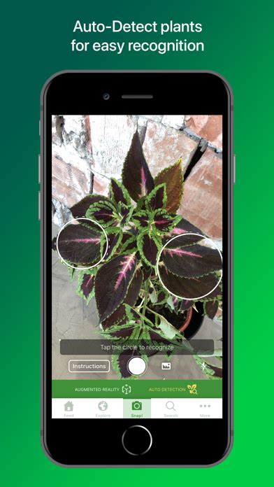 Plantsnap Download On Ios Or Android Educationalappstore