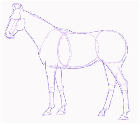 Https://tommynaija.com/draw/how To A Draw A Tall Horse Easy