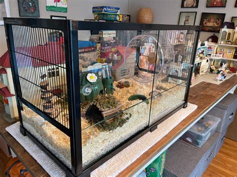 Top Best Aquarium Hamster Cages