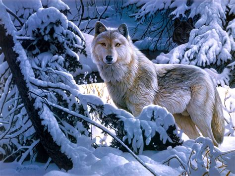 Hintergrundbild für Handys: Wölfe, Tiere, Bilder, 45911 Bild kostenlos ...