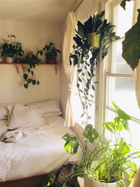 Find the best free stock images about bedroom. Top Indoor Plants You Should Have in Bedroom For Better Sleep