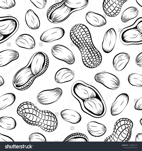 Seamless Pattern Peanuts Drawn By Hand Vector Illustration Of Peanut