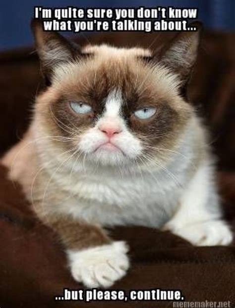 Funny Grumpy Cat Memes Funny Memes Fun