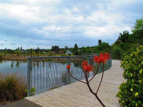 Newmarket Park In Auckland