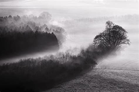 Black And White Mist Landscape Photographic Print Mreco99