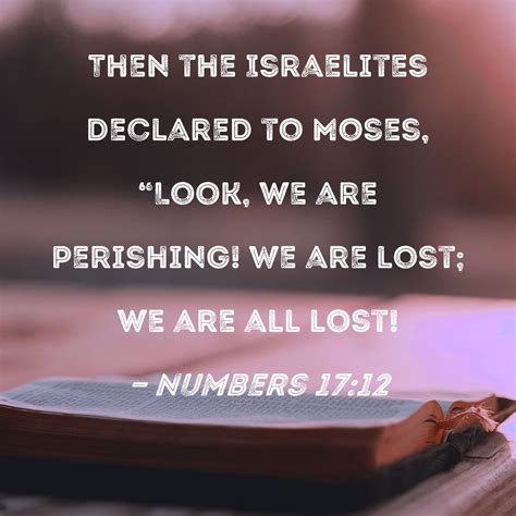 Numbers 1712 Then The Israelites Declared To Moses Look We Are