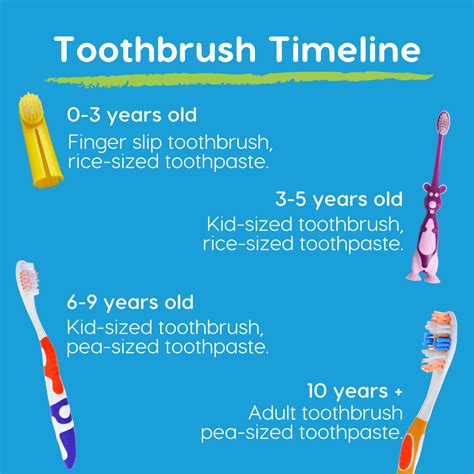 Toothbrush And Toothpaste Timeline For Children Pediatric Dental Associates