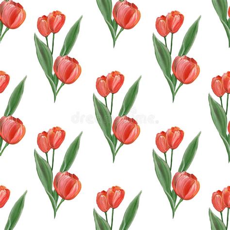 Red Bright Tulips With Green Leaves On A White Background Spring