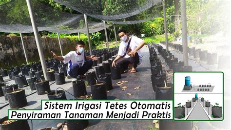 Solusi Praktis Mengatasi Masalah Sistem Irigasi Taman di Makassar