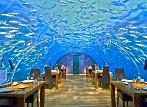 11 Unusual And Strangest Restaurants From Around The World Bites And