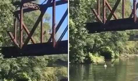 Shocking Video Shows Four Year Old Being Thrown Off Bridge In Washington World News
