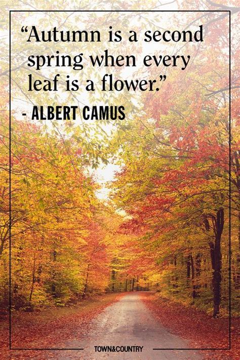25 Cozy Autumnal Quotes To Get You Ready For Fall Autumn Quotes