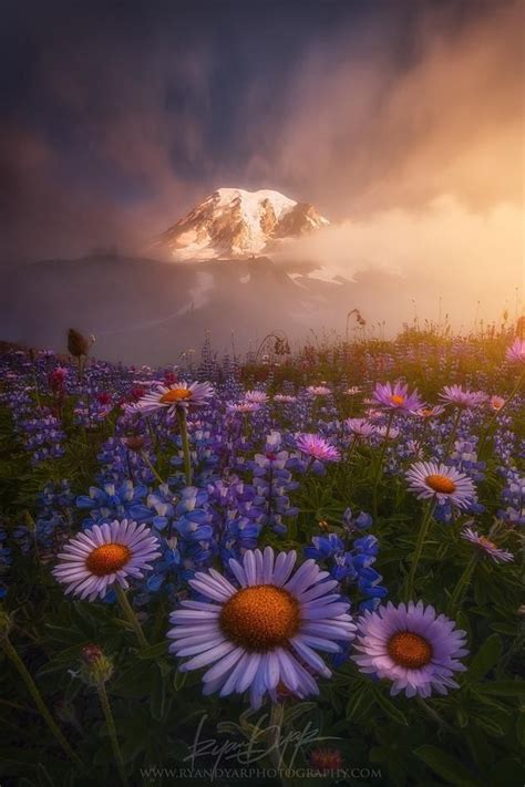 Mt Rainier Through The Fog Washington State By Ryan Dyar Nature