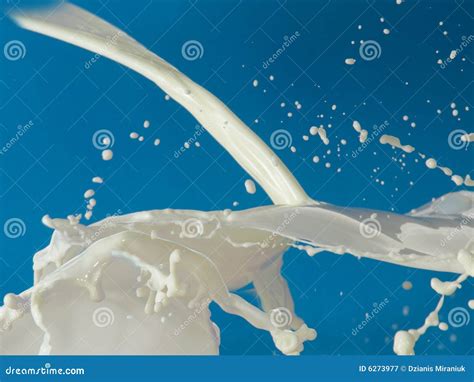 Bubbles Milk Waves Stock Image Image Of Environment 6273977