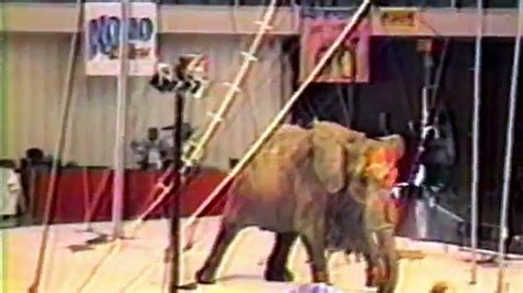Tyke The Elephants Last Day On Earth Video Dailymotion
