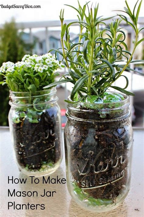 Grow Herbs In Your Kitchen With Mason Jar Planters Mason Jar Planter