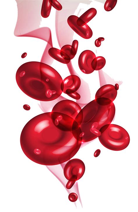 Red Blood Cells Png Red Blood Cells Png Transparent Free For Download