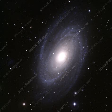 Spiral Galaxy M81 Stock Image R8560051 Science Photo Library