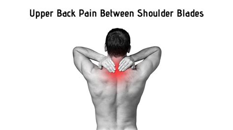 Upper Back Pain Between Shoulder Blades Relief Review And Overview