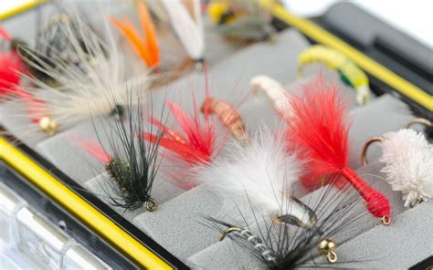 10 Best Wet Flies For Trout 2023 Buyers Guide Into Fly Fishing