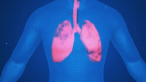 慢阻肺和肺气肿的区别是什么 专家文章 复禾健康