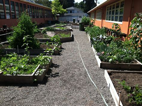 We Love School Gardens Directionfive