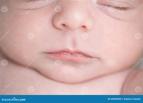 Newborn Baby Lips Stock Photo Image Of Young Small 64945058