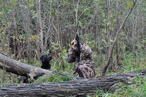8 Ways To Ruin Your Duck Hunting Dog