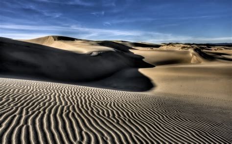 Desert Ripples In The Dunes