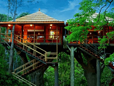 Tree House Resorts Kerala 15 Best Tree House Resorts 2020 Updated