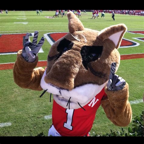 ¡la felicidad de los campeones! University of Houston Shasta | U of H | Pinterest