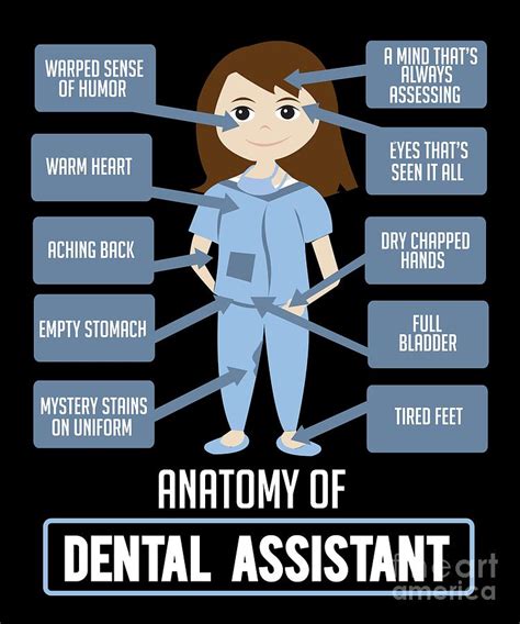 Funny Dentist Quote Anatomy Of Dental Assistant Digital Art By Teequeen2603