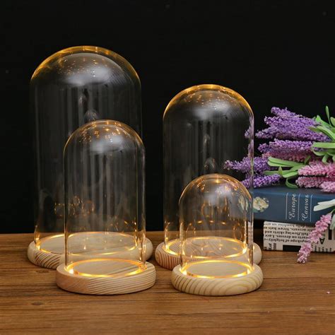 Glass Display Dome Wooden Base Led Decorative Miniature Landscape Ornament Ebay
