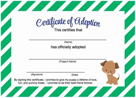 Simple Stuffed Animal Adoption Certificate Template Free Fresh Agenda