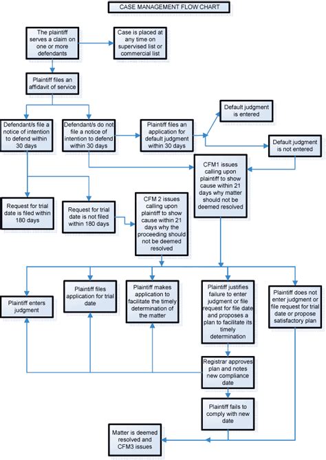 Case Management Flow Chart